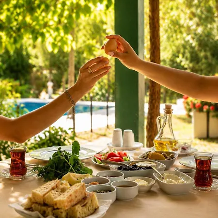 Ξενοδοχείο Doga
